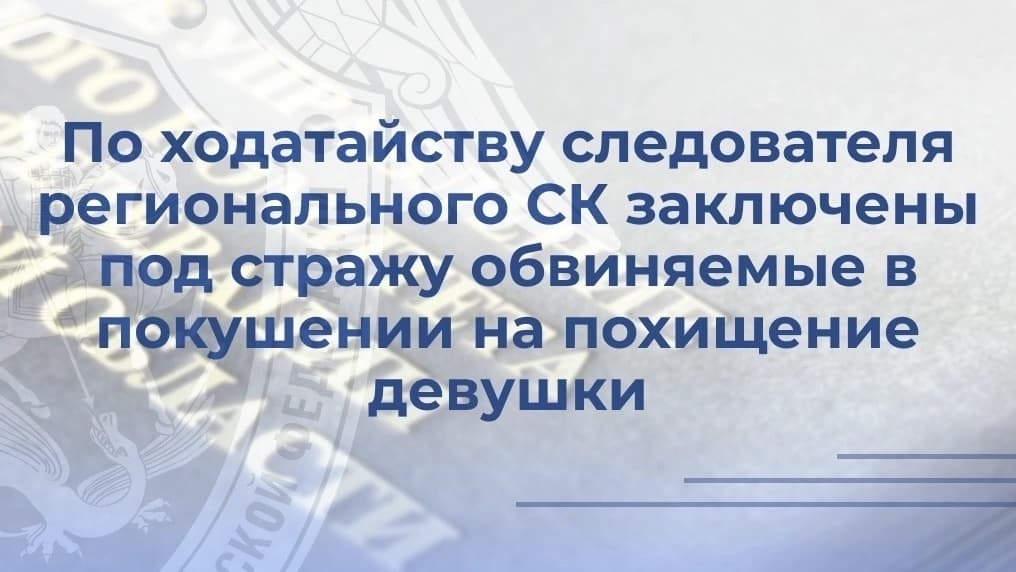 В Нижегородской области двое мужчин пытались похитить девушку