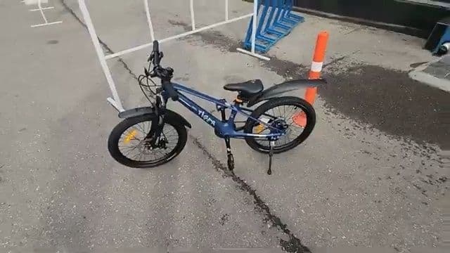Переехавшим в Нижегородскую область канадцам подарили велосипед