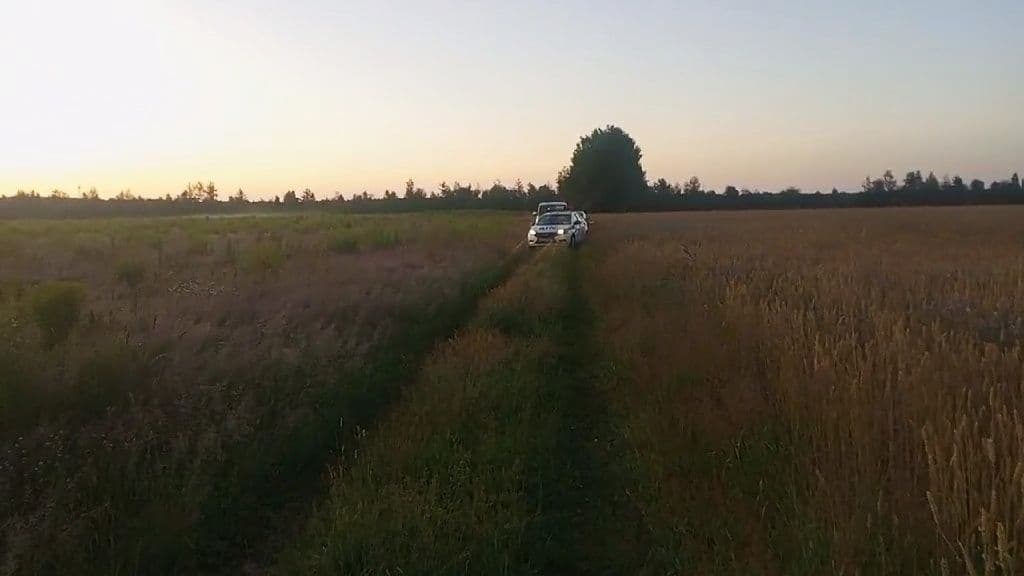 УАЗ раздавил лежащую в поле женщину в Нижегородской области