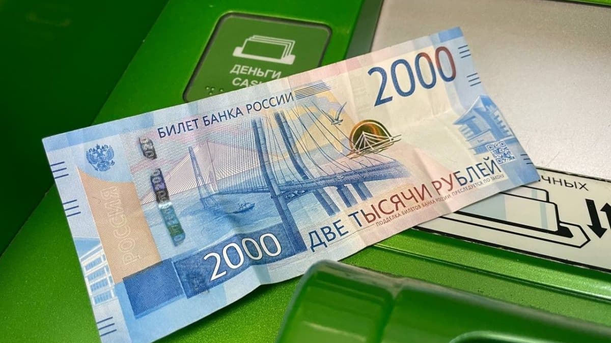 Нижегородские депутаты поддержали увеличение штрафов за дебош в самолетах