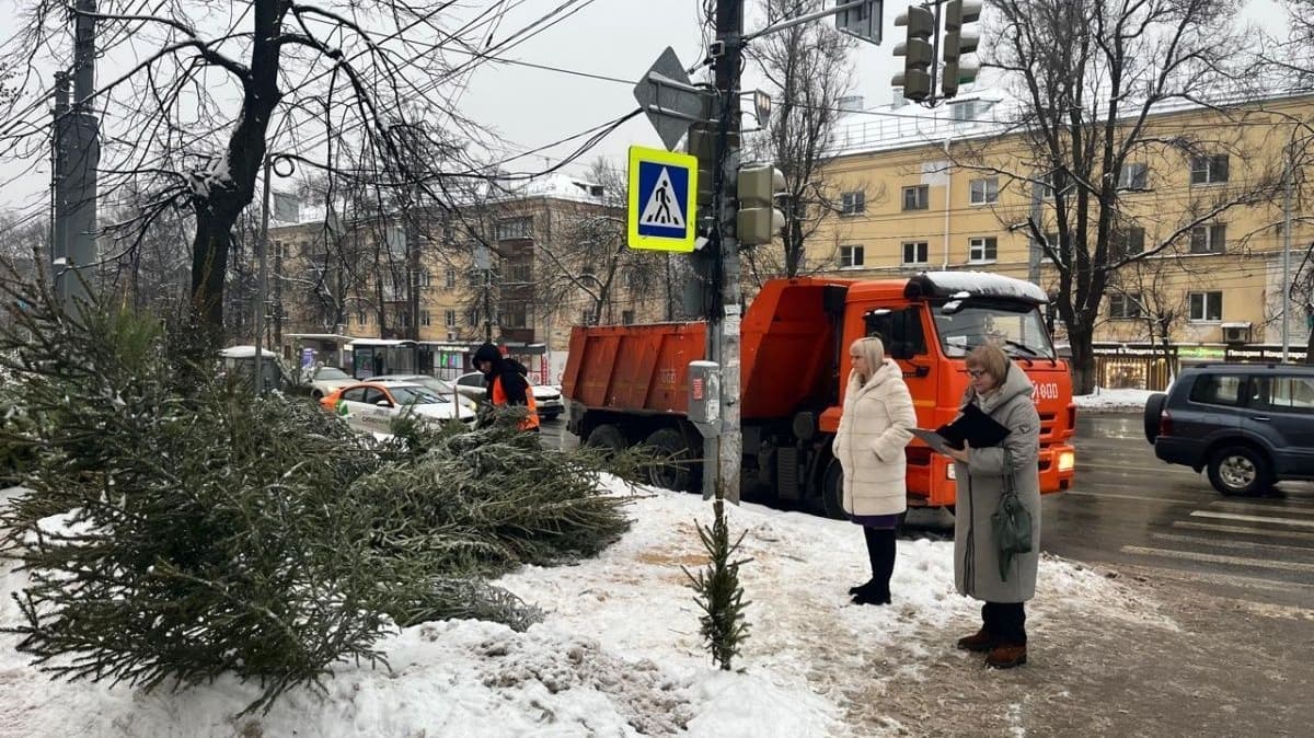 Больше 200 елок изъяли из незаконной продажи в Нижнем Новгороде