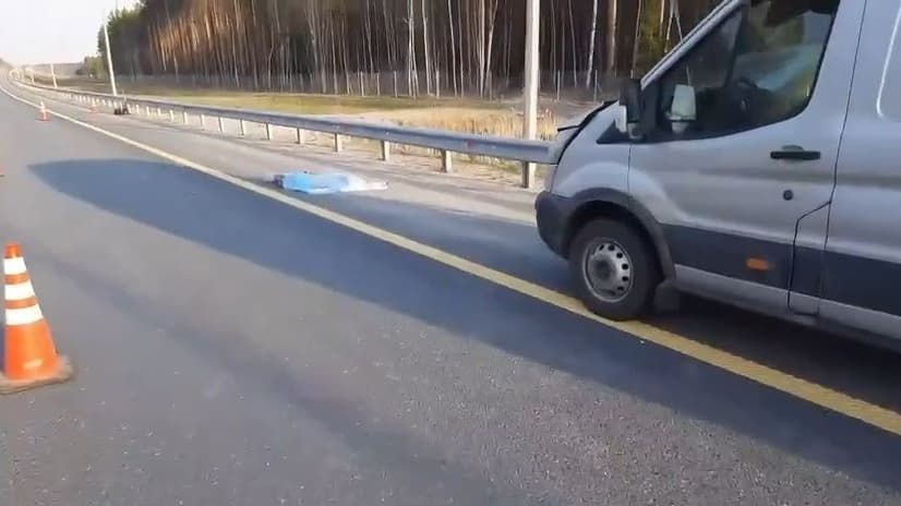 Водитель иномарки погиб в ДТП на трассе М-12 в Нижегородской области