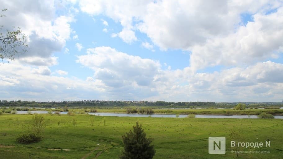 Национальный парк «Нижегородское Поволжье» займет 65 тысяч га