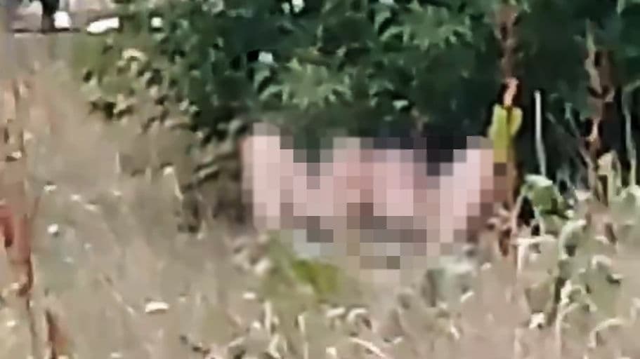 Нижегородцы стали все чаще заниматься сексом в общественных местах