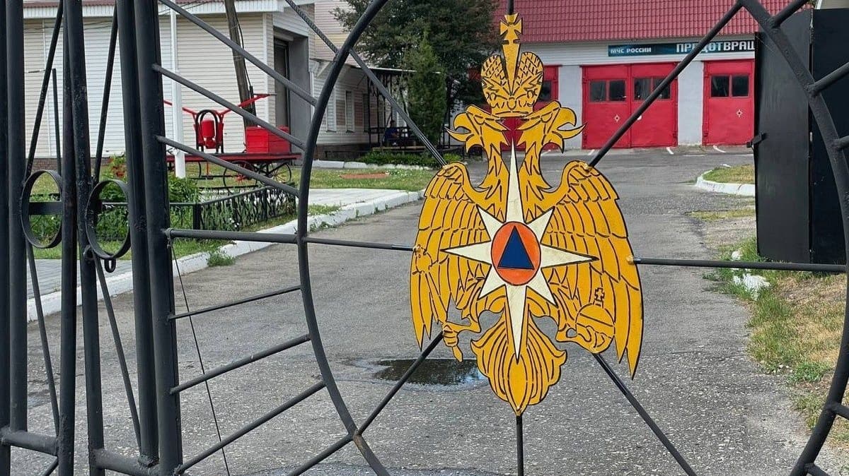 Перелезающие через забор школы сотрудники МЧС напугали нижегородцев
