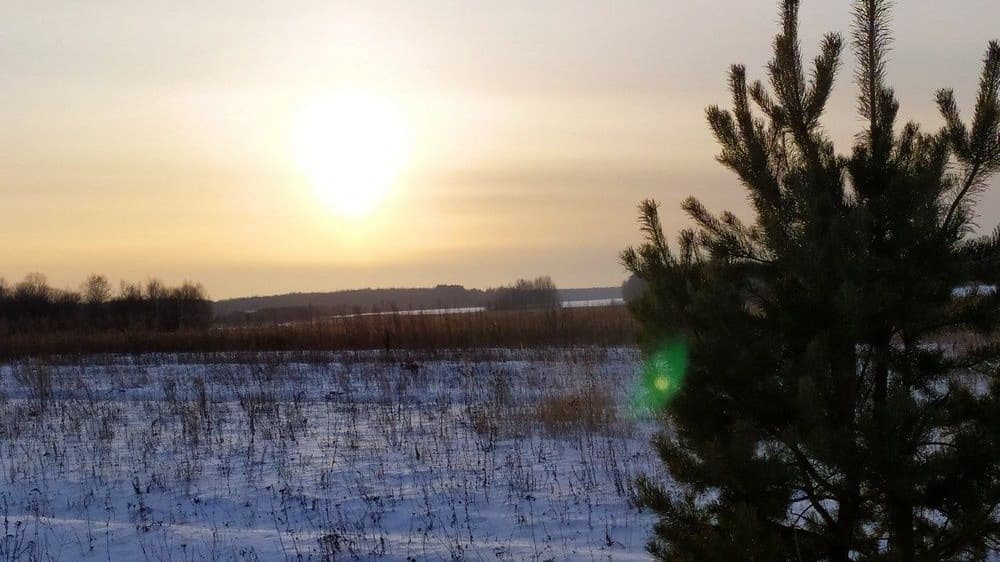 Частичное солнечное затмение смогут наблюдать нижегородцы 29 марта
