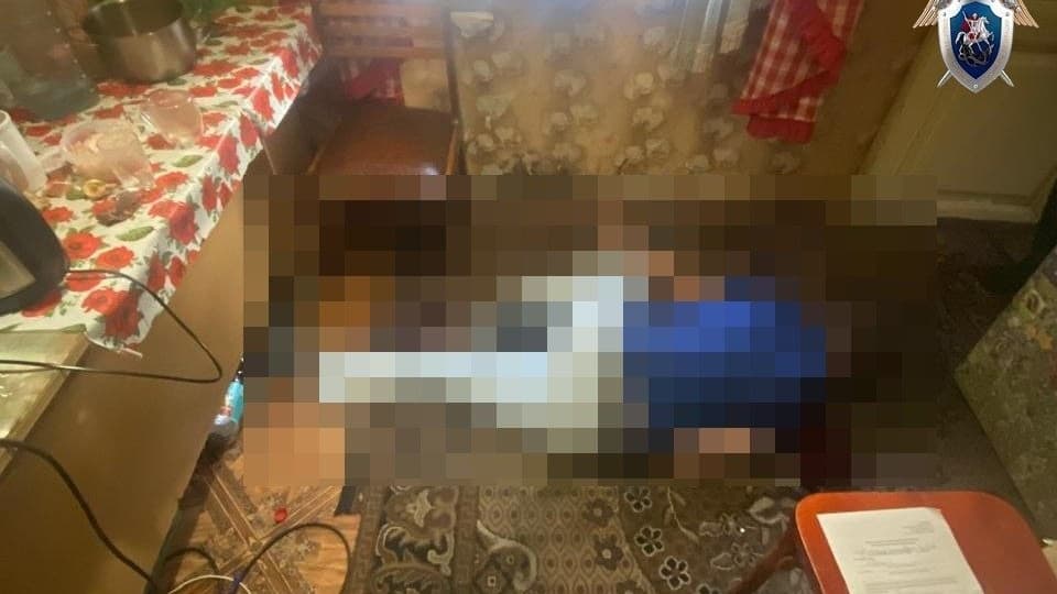 Нижегородка обвиняется в убийстве сожителя в Богородске