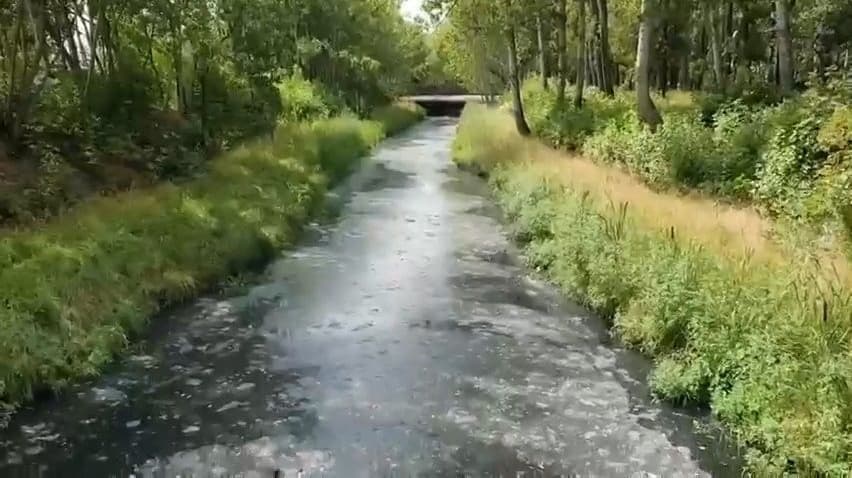 Руководство Ленинского района намерено найти загрязнителей Борзовки