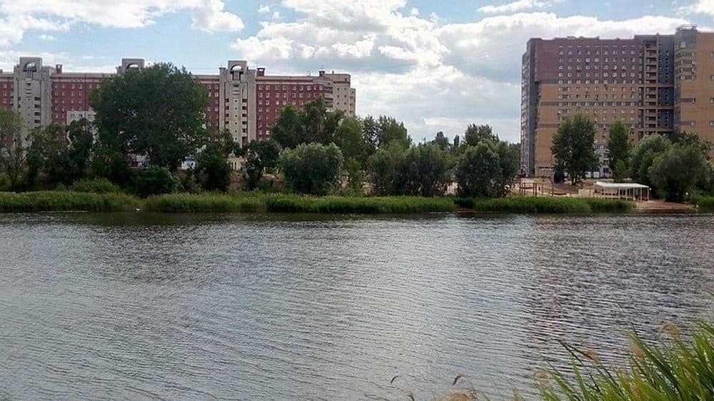 Новый парк «Мещерское озеро» могут создать по концессии к лету 2027 года