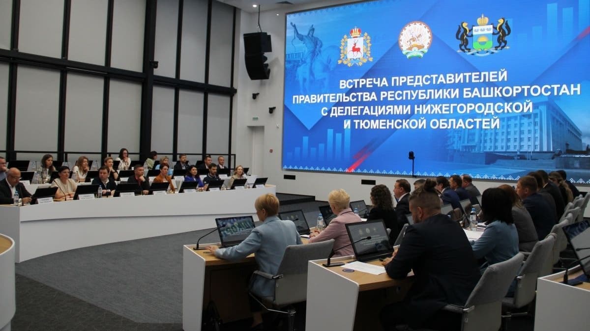 Нижегородцы рассказали Минэкономразвития Башкирии о создании инвестпрофилей