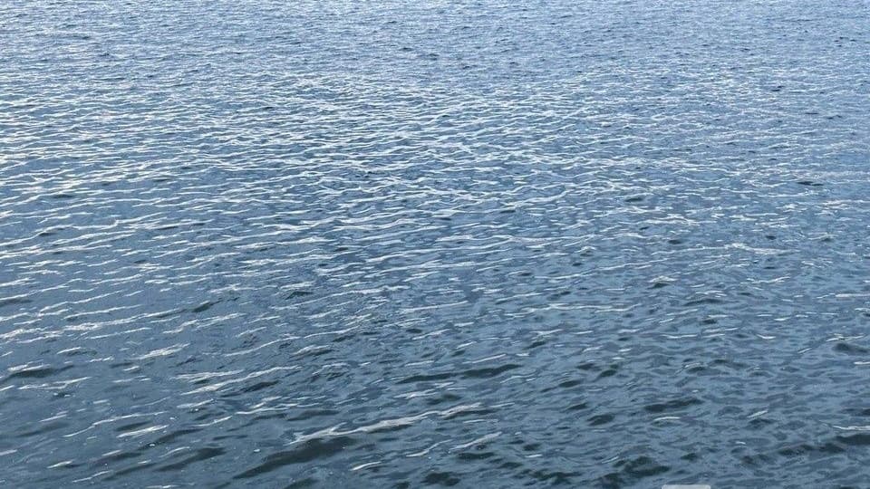 Труп мужчины в кедах достали из Волги в Борском округе