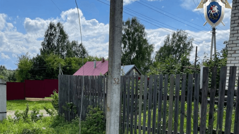 Мастера электросетей осудили за гибель ребенка в Нижегородской области