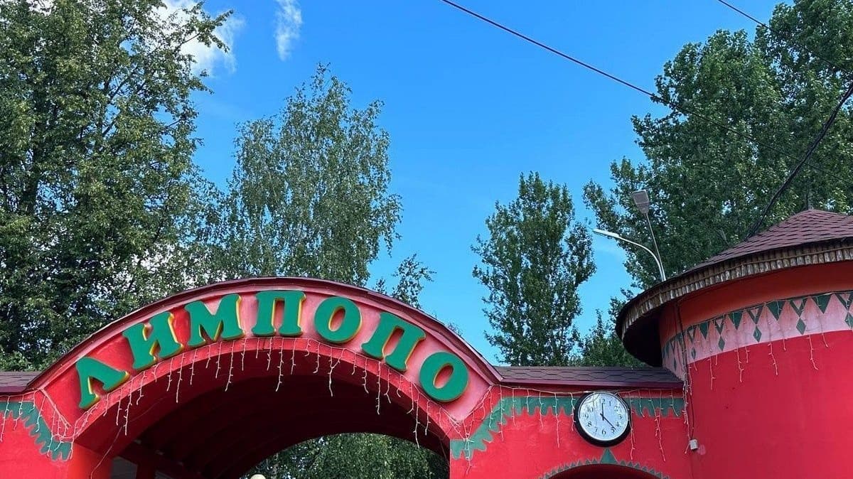 Сотрудников нижегородского зоопарка лишат премии после побега волчицы