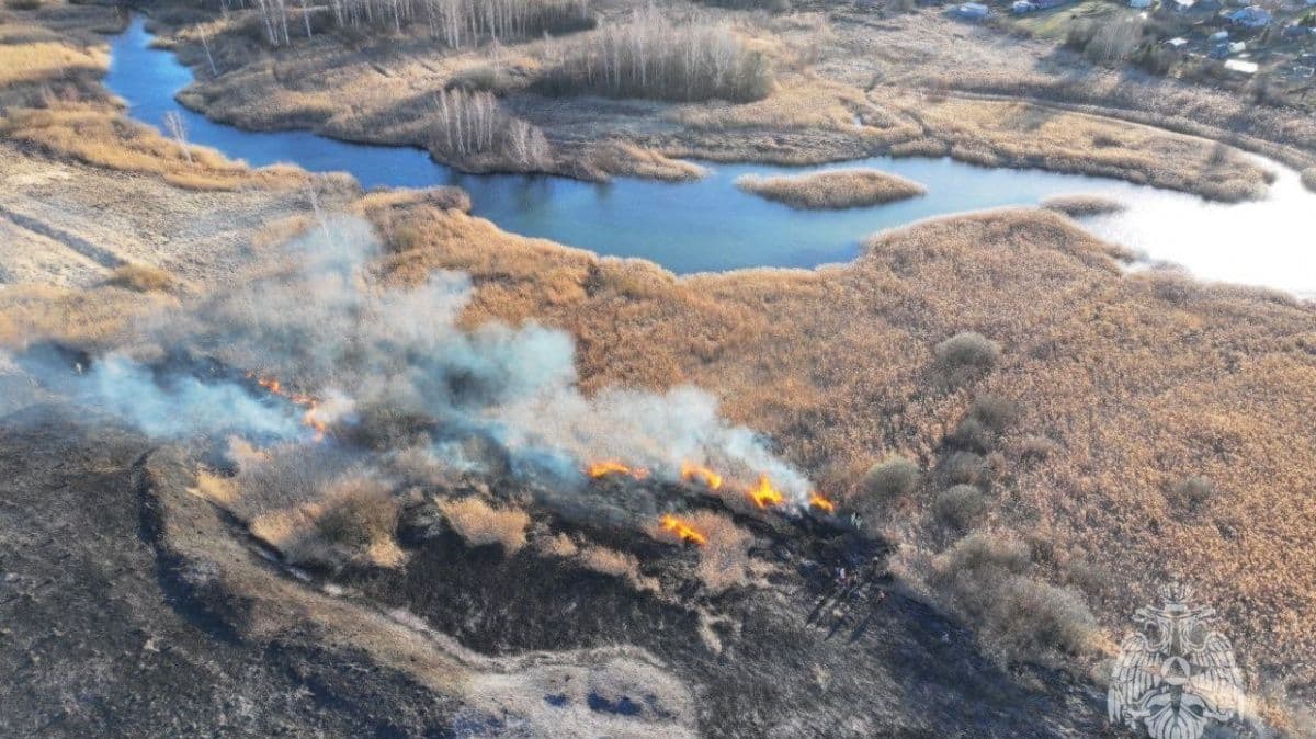 20 пожаров произошло в Нижегородской области за сутки