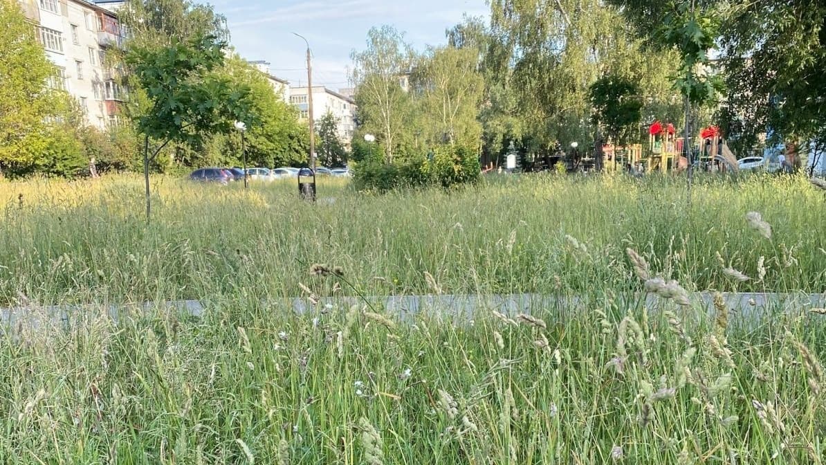 Нижегородский депутат призвал жителей самим косить траву на детской площадке