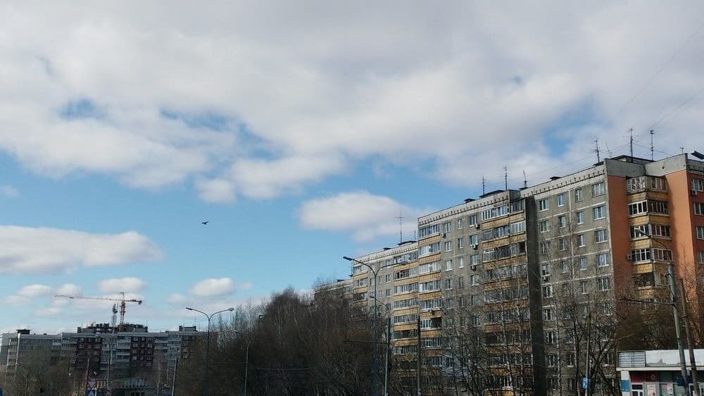 Новые платные парковки могут появиться на улицах Нижнего Новгорода
