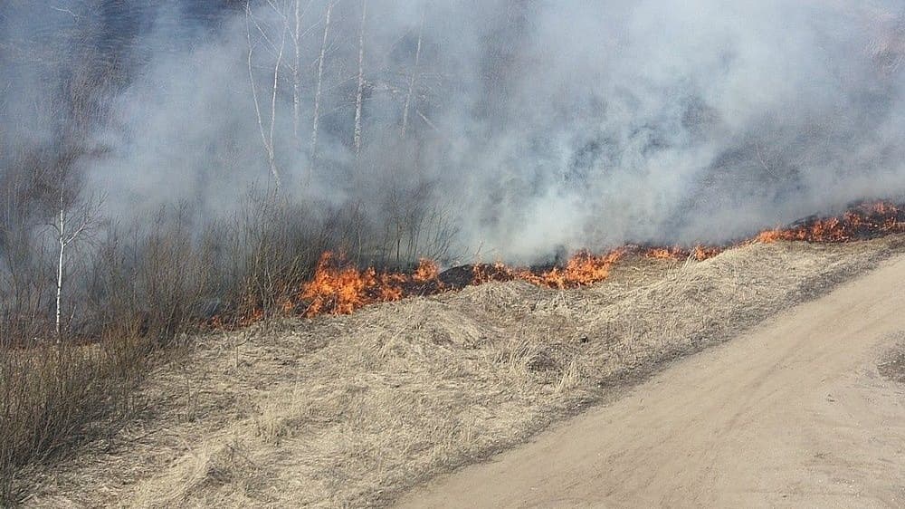 Высокая пожароопасность ожидается в Нижегородской области