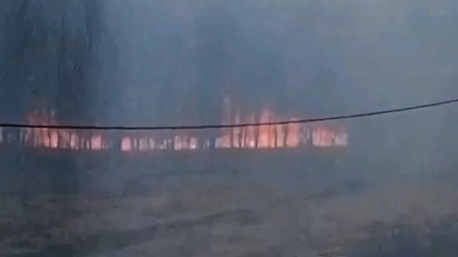 Деревья и трава полыхают в нижегородском ЖК «Окский берег»
