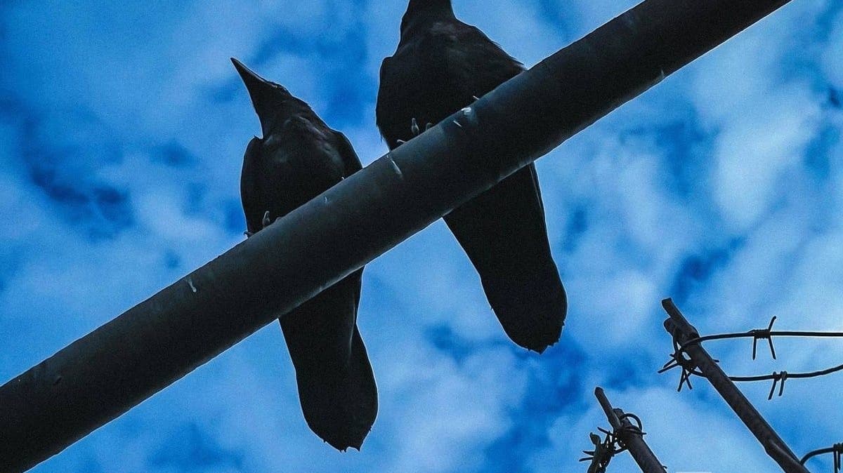Заключенного нижегородской колонии отдали под суд за экстремизм