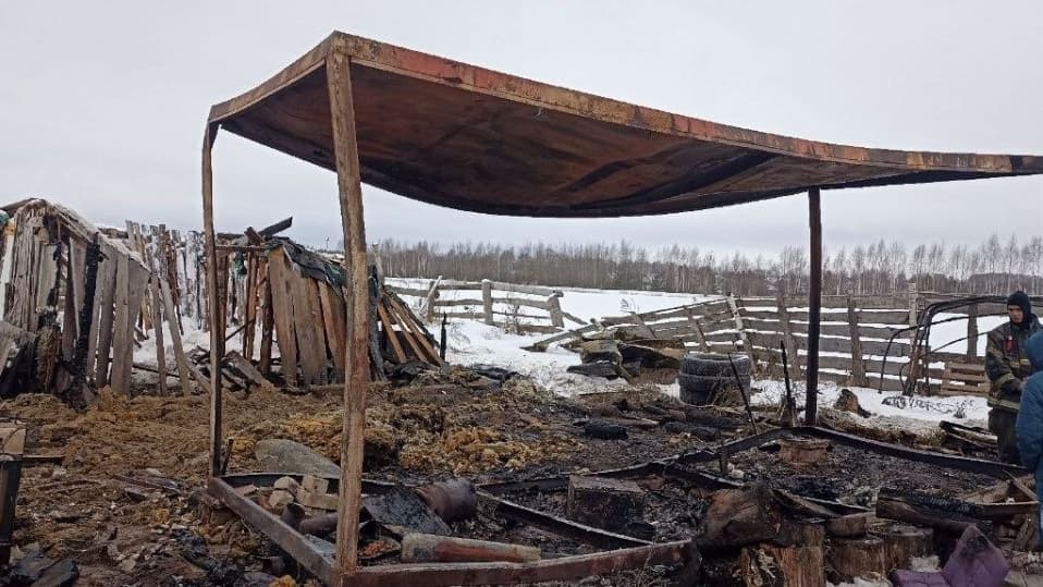 Мужчина погиб при пожаре в бытовке в Городецком округе