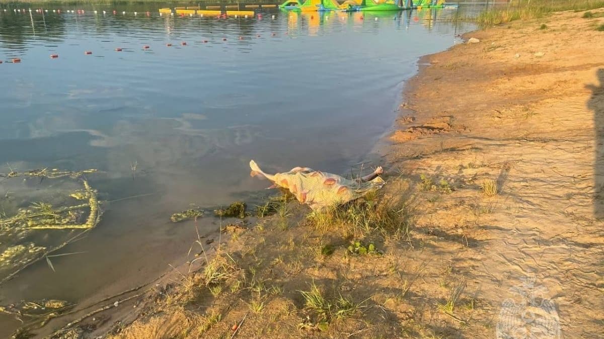Нижегородец утонул во время плавания на матрасе