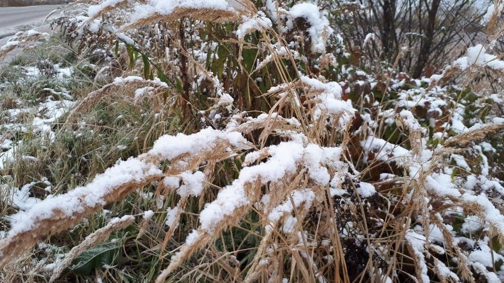 Снег с дождем и похолодание до -6℃ идут в Нижегородскую область