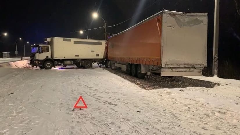 Водитель фуры умер в нижегородской больнице после ДТП на трассе М-7