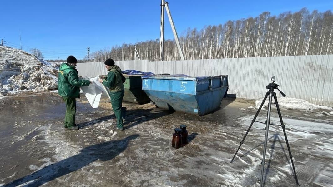 Большемурашкинский свинокомплекс оштрафуют за многочисленные нарушения