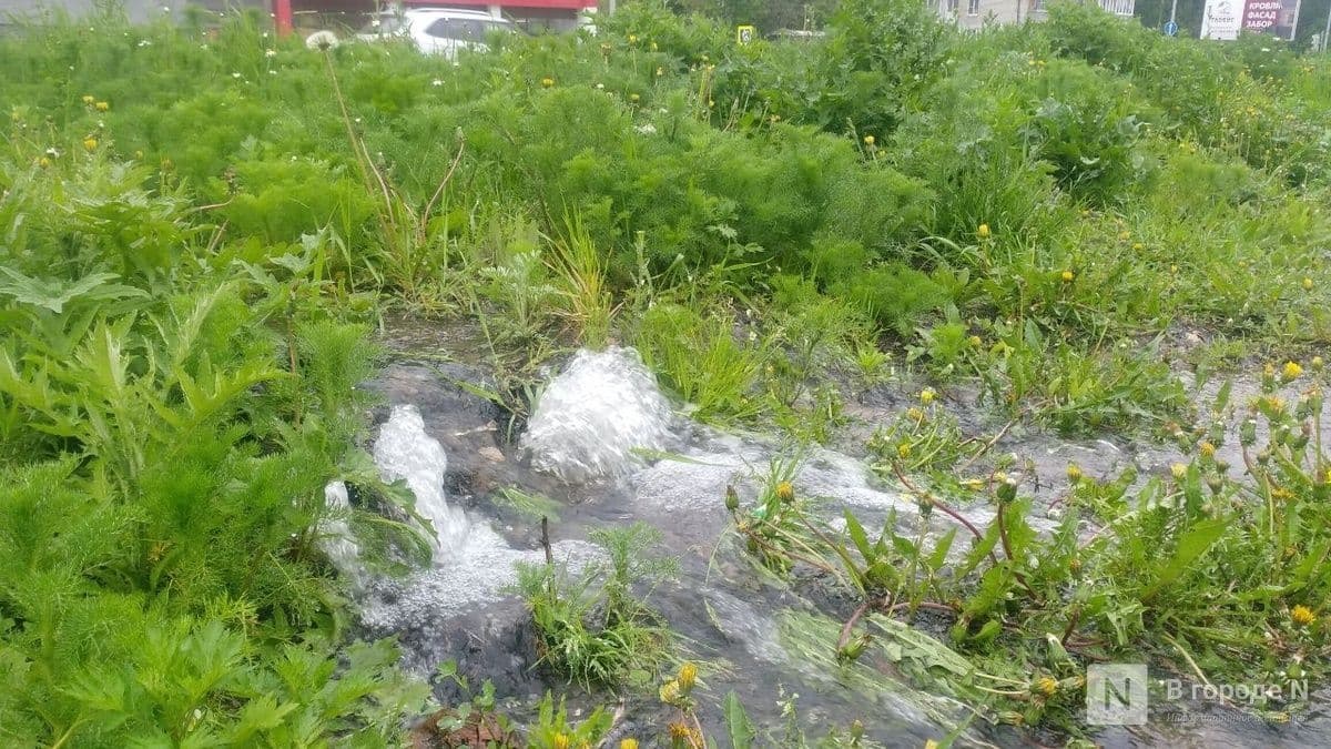 Стала известна причина коммунальной аварии на улице Родионова в Нижнем Новгороде