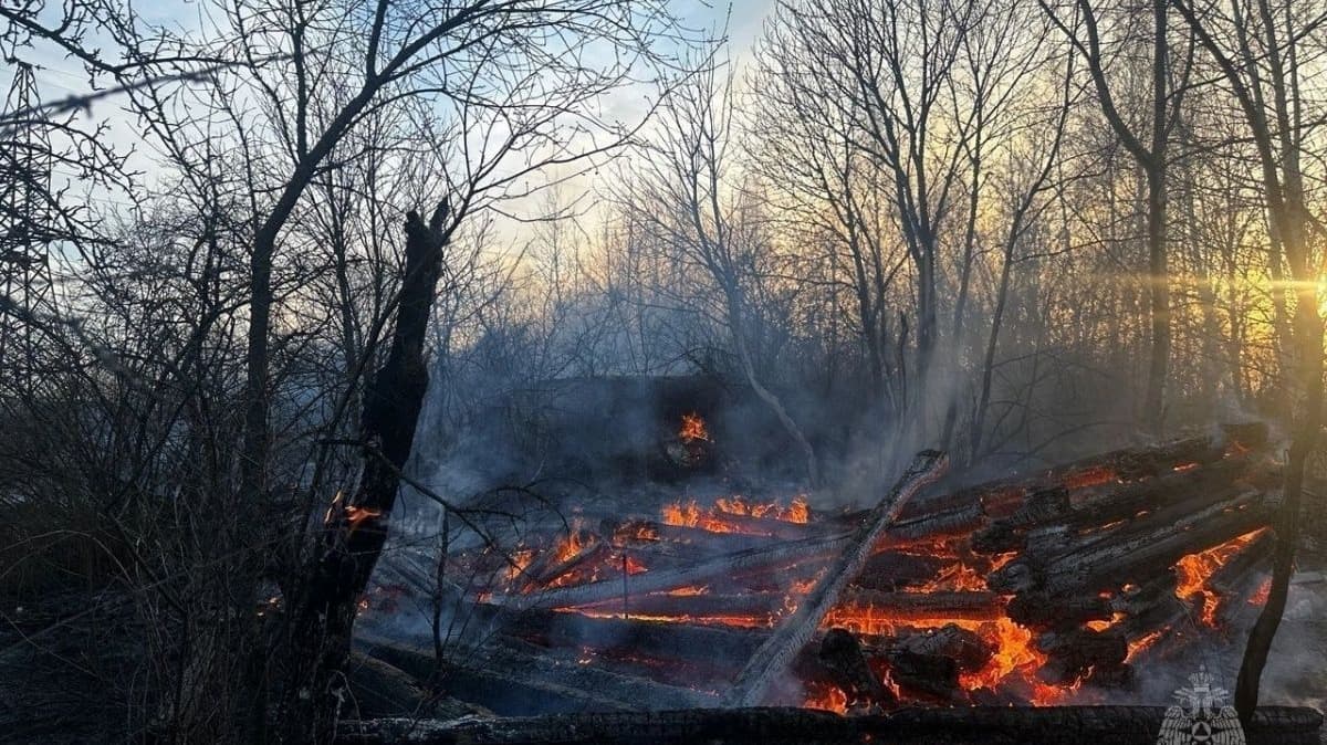 Четыре строения сгорели из-за поджога в СНТ в Нижегородской области