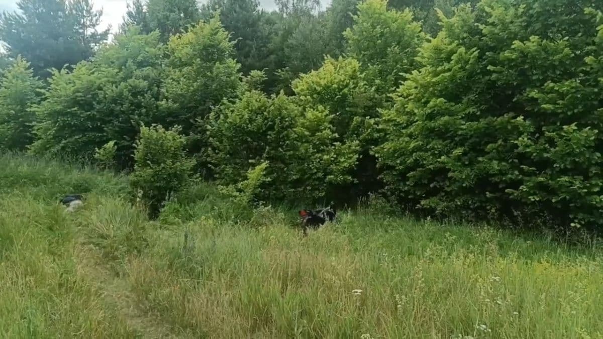 Мотоциклист погиб в лесном массиве Бутурлинского округа