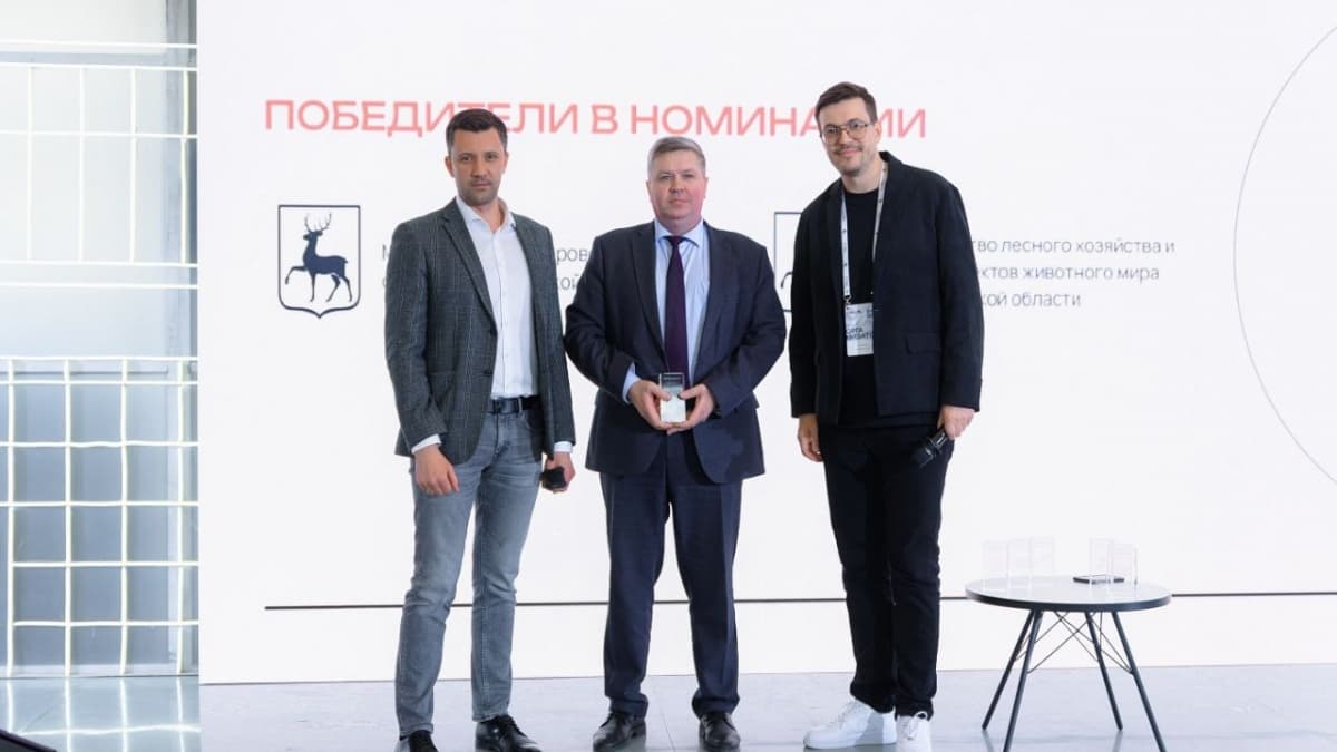 Нижегородский проект цифровизации Минлесхоза получил премию «Digital-Оттепель»