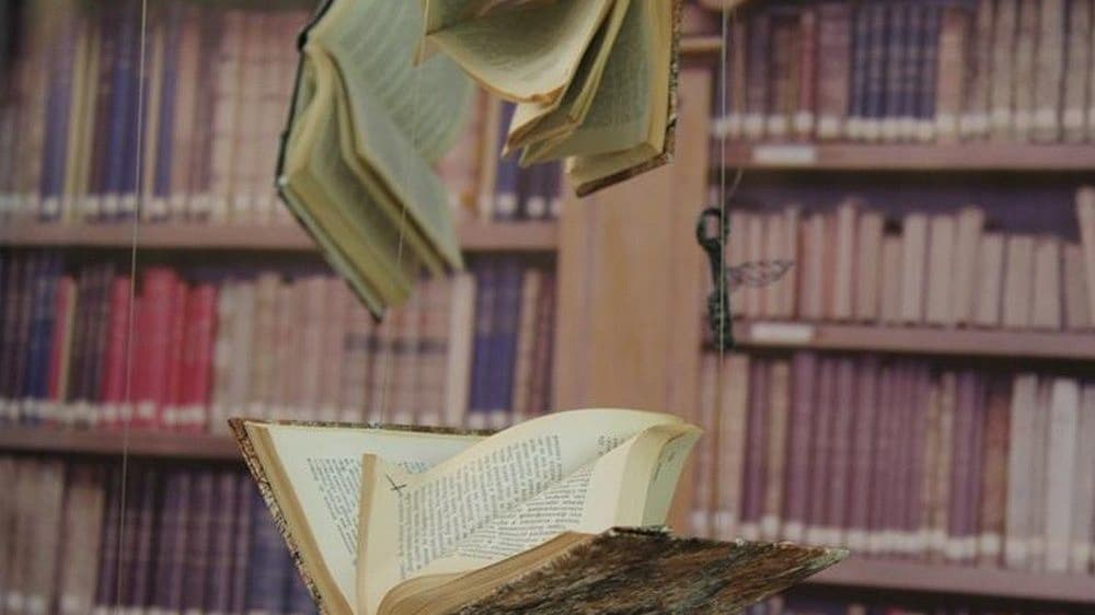 Темные тайны и светлые мечты: романы BookTok о сложных отношениях