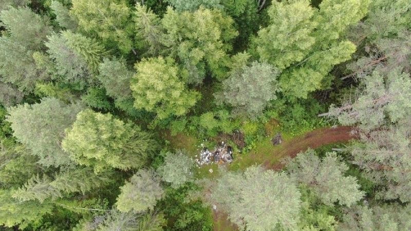 Огромная свалка мусора обнаружена в лесах Нижегородской области