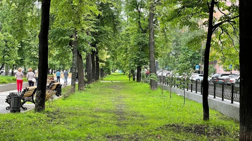 Опубликовано расписание летних кинотеатров в Нижнем Новгороде на июль