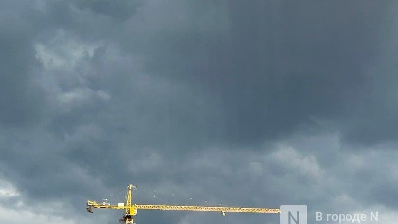 Нижегородские власти не поддержали концепцию застройки около улицы Яблоневой