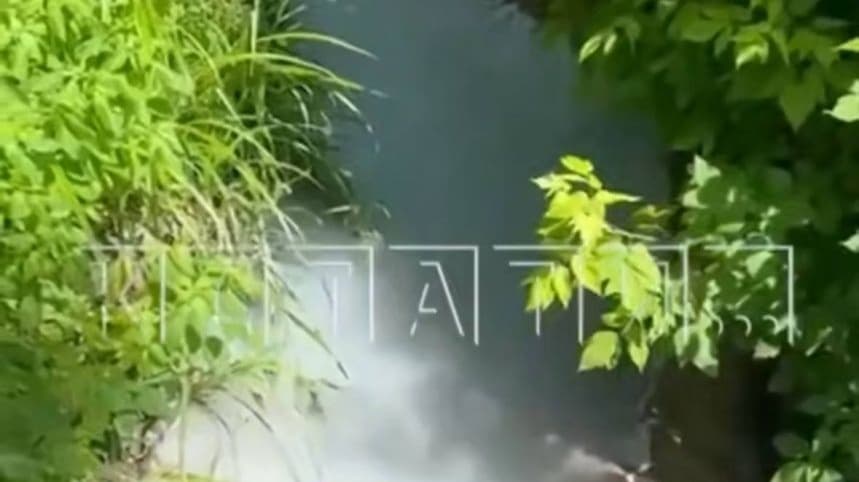 Минэкологии проверяет «молочную реку» в Нижнем Новгороде