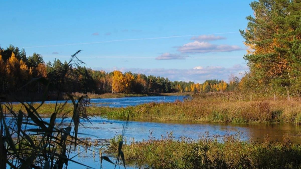 Бабье лето в Нижегородской области начнется в середине сентября