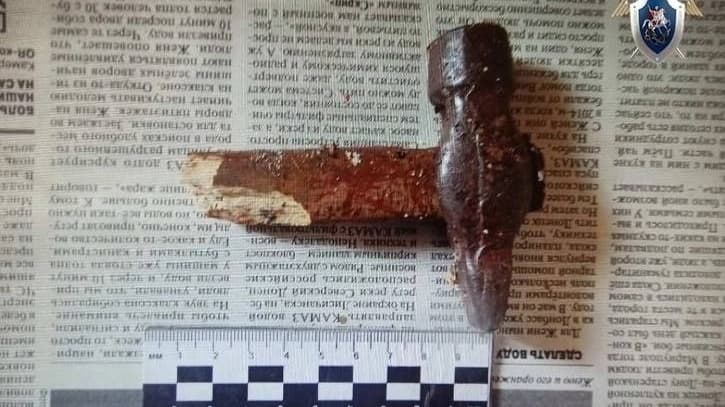 Жителю Павлова дали 10 лет колонии за убийство соседа молотком