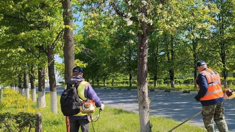 Сезон летнего ухода за зелеными насаждениями начался в Дзержинске