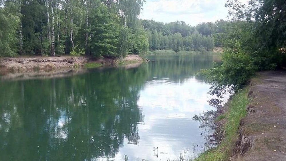 Перечислены три района Нижнего Новгорода с недостатком озеленения
