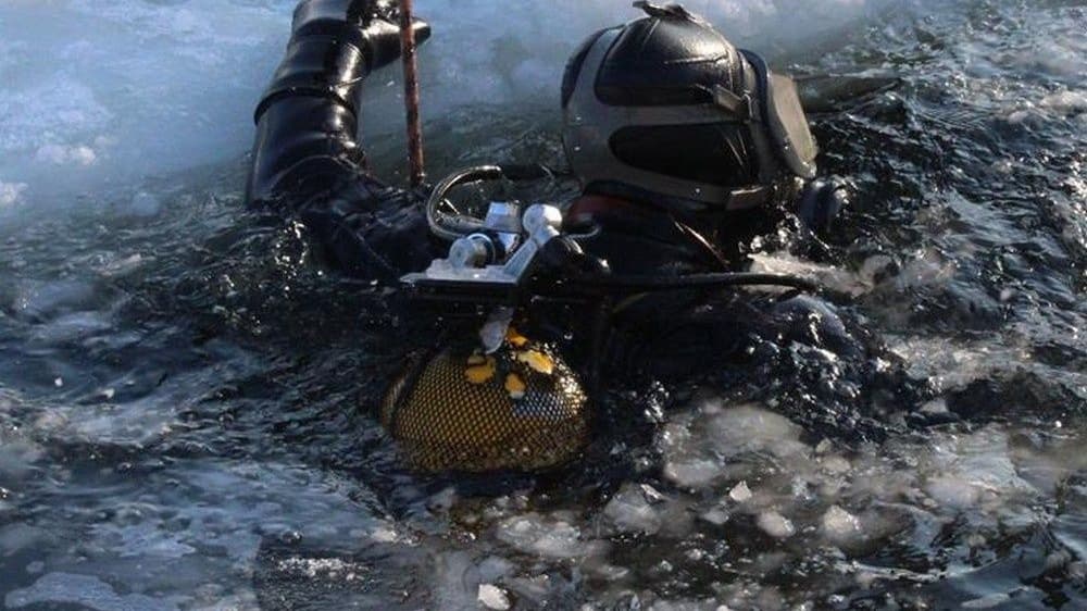 Программист погиб на яхте во время корпоратива в Нижнем Новгороде