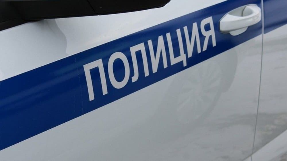 Водителя грузовика оштрафовали за езду по тротуару в Нижнем Новгороде