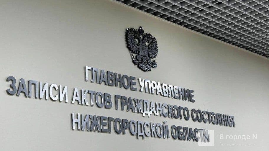 Спартак и Золушка родились в Нижегородской области в 2024 году