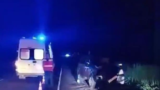 Женщина пострадала в ДТП из-за лося в Краснобаковском округе