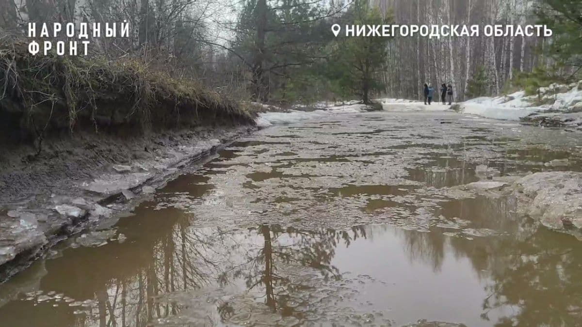 Жителям деревни на Бору 23 года не могут отремонтировать дорогу