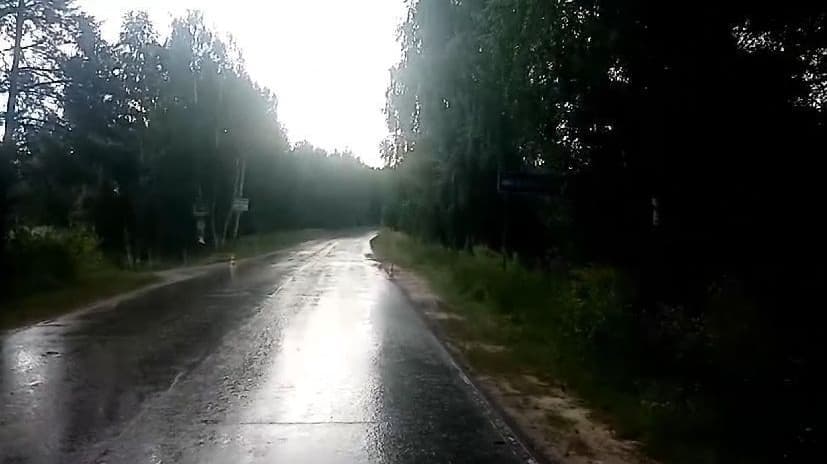 Подросток на мопеде пострадал в ДТП в Городецком округе
