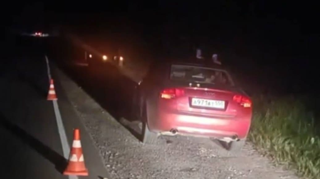 Еще одно жесткое ДТП с лосем случилось в Нижегородской области