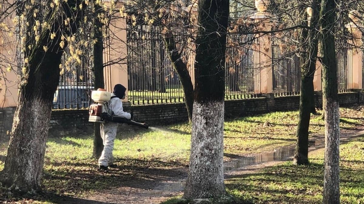 Восемь нижегородских парков обработают от клещей в конце марта