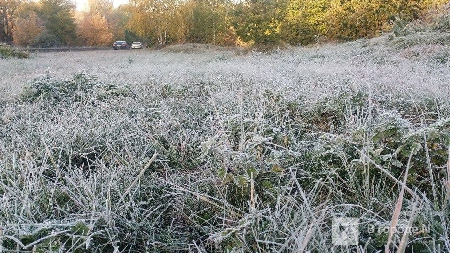 Заморозки пришли в Нижегородскую область минувшей ночью